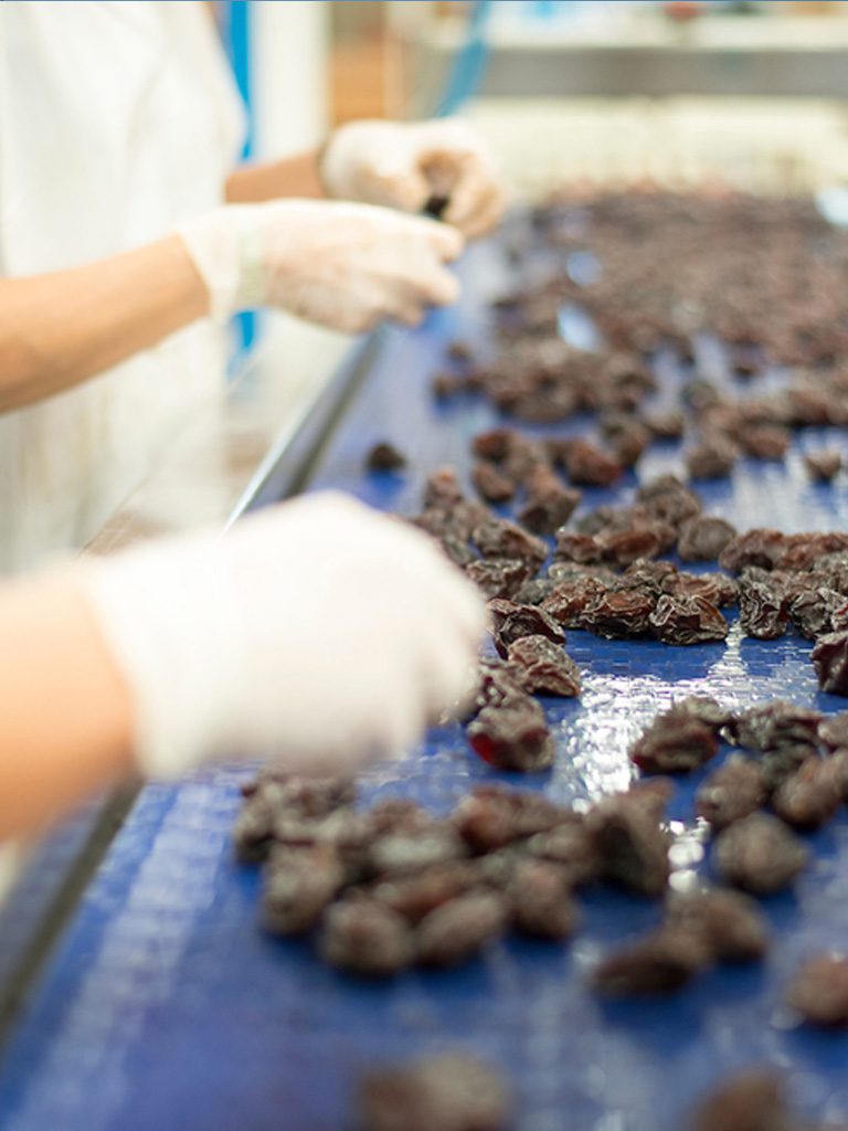 Elaboración ciruela pasa sin hueso Originia Foods