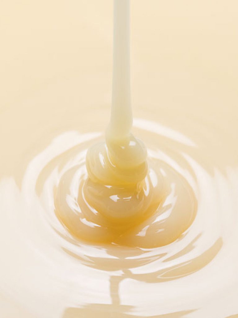 Condensed Milk Manufacturing Processes