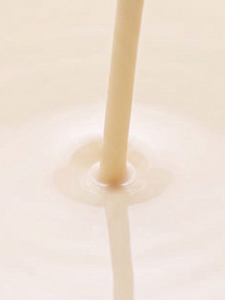 Manufacture and export of evaporated milk