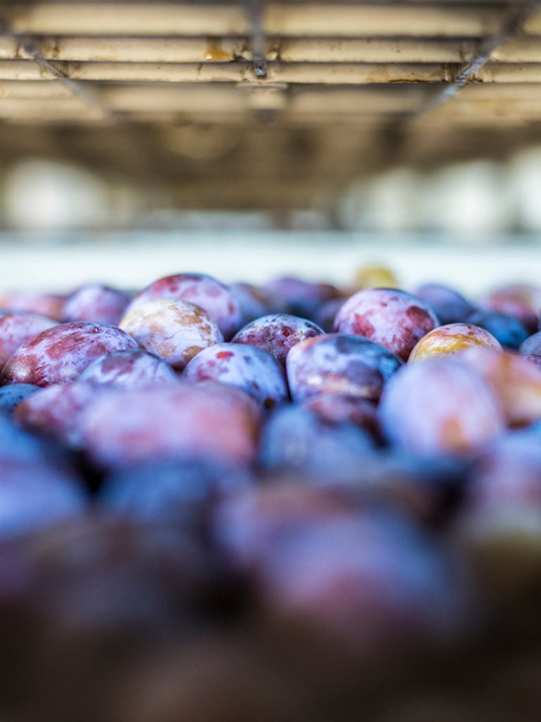 Ciruelas naturales Originia Foods