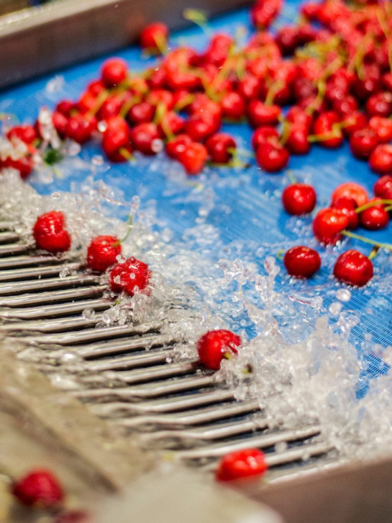Transformados de fruta somos productores