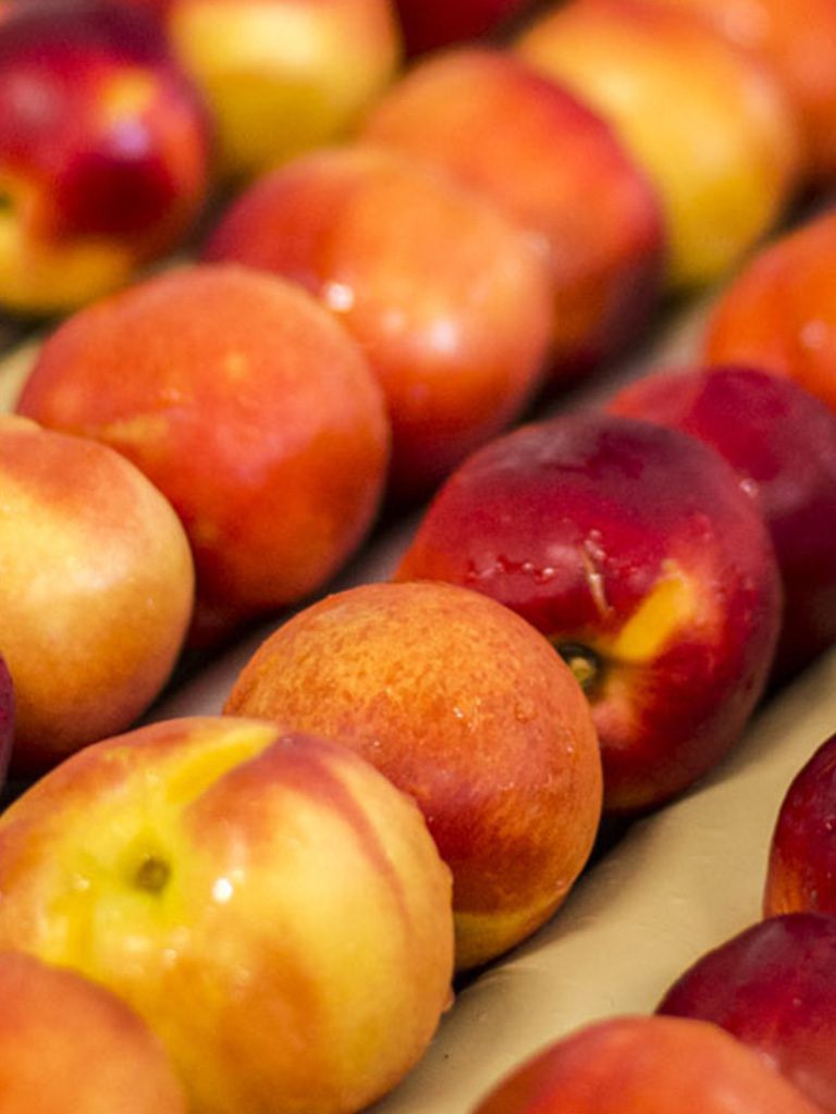Transformados de fruta de Originia Foods productos utilizados